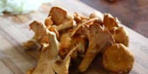 Пирог с грибами (лисички) из слоеного теста Пирог с лисичками пошаговый рецепт